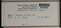 Image Associated With the Occurence